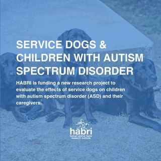 Service Dogs and children with autism spectrum disorder