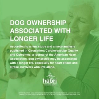Dog ownership associated with longer life