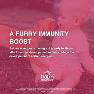 A Furry Immunity Boost